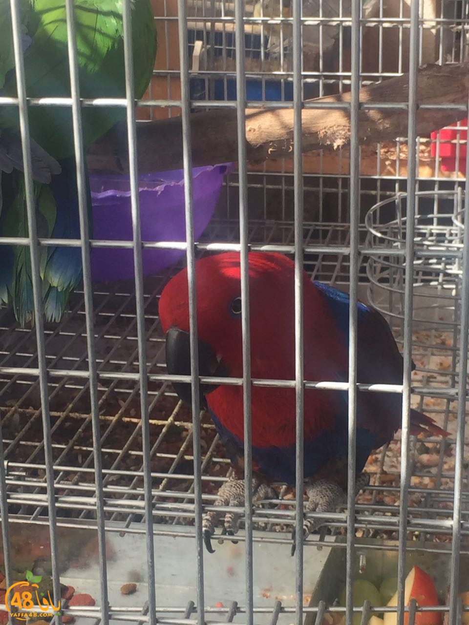 zohdy 3ashor (11).jpg